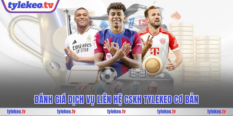 Đánh giá dịch vụ liên hệ CSKH Tylekeo
